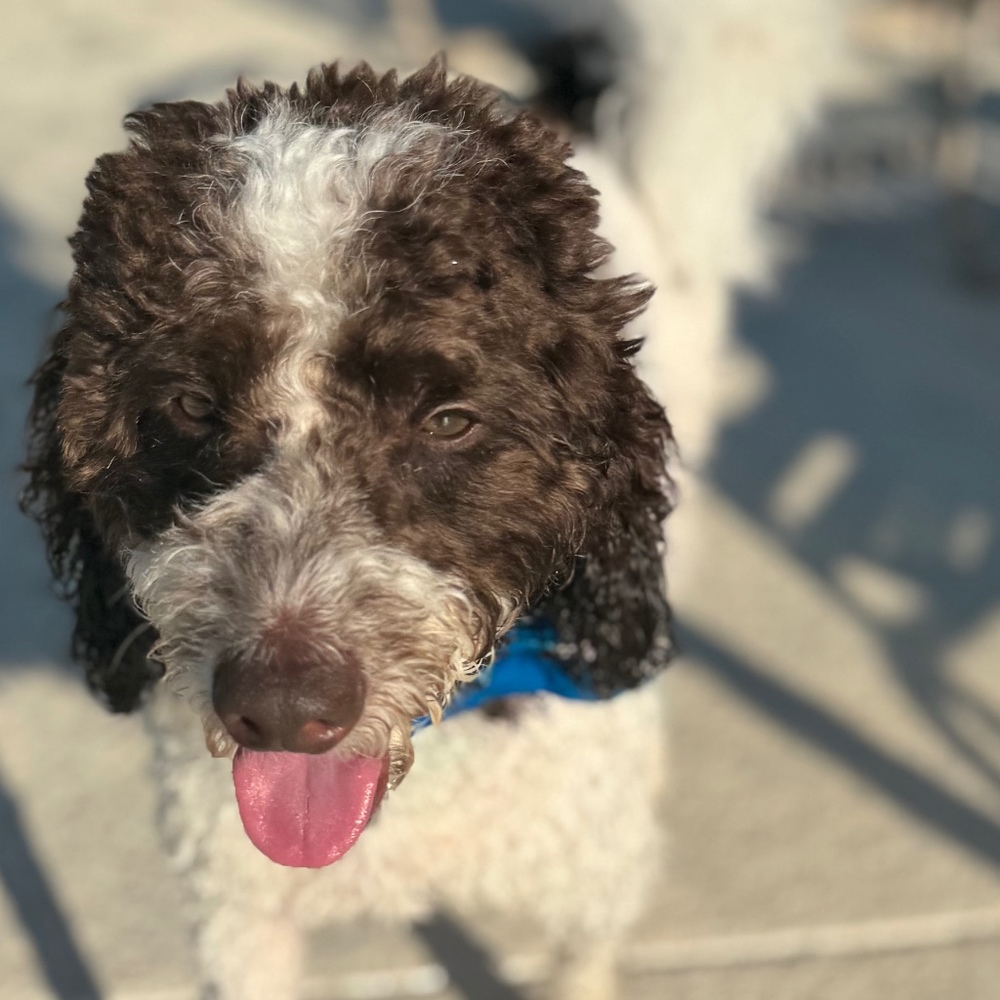 Meet your Posher, Meghan